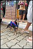100_2616.JPG
