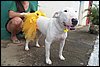 100_2618.JPG