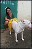 100_2619.JPG