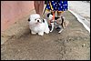 100_2621.JPG