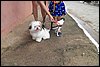 100_2622.JPG