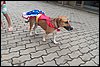 100_2625.JPG