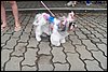 100_2629.JPG