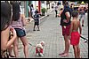 100_2639.JPG