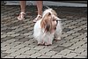 100_2642.JPG