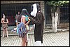 100_2645.JPG