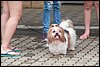 100_2648.JPG