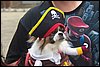 100_2651.JPG