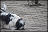100_2652.JPG