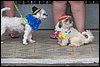 100_2654.JPG