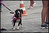 100_2656.JPG