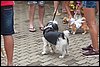 100_2657.JPG
