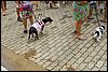 IMGP9612.JPG