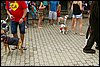 IMGP9616.JPG
