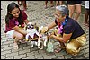 IMGP9630.JPG
