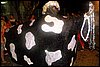 100_3003.JPG