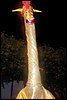100_3024.JPG