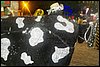 100_3072.JPG
