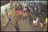 100_3162.JPG