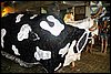 100_0171.JPG