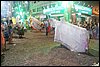 100_0196.JPG