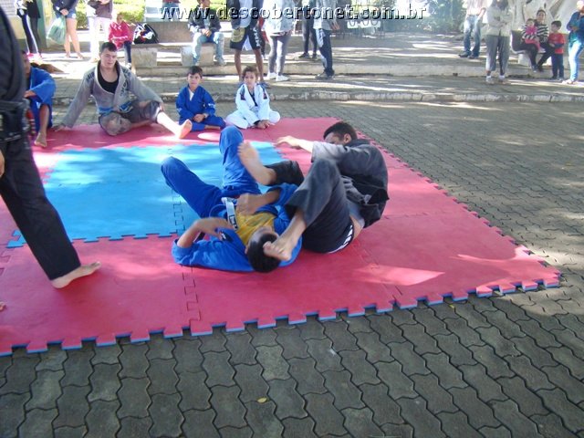DSC06777.JPG