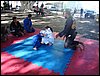 DSC06761.JPG