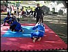 DSC06764.JPG