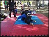 DSC06771.JPG
