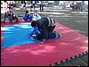 DSC06775.JPG