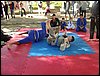 DSC06785.JPG