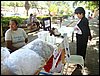 DSC06829.JPG