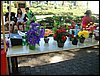 DSC06844.JPG
