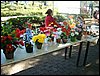 DSC06845.JPG