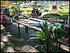 DSC06847.JPG