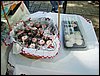 DSC06891.JPG