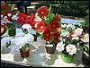 DSC06907.JPG