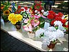 DSC06909.JPG