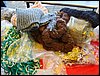 DSC06911.JPG