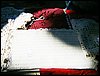 DSC06914.JPG