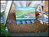 DSC07049.JPG