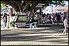 IMG_1392.JPG