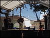 joni (2).jpg