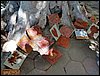 oficinas (36).jpg