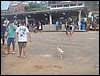 100_7090.JPG