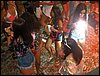 100_7694.JPG