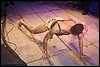 barril (244).JPG
