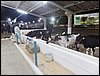 SAM_8770.JPG