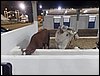 SAM_8777.JPG
