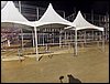 SAM_8800.JPG